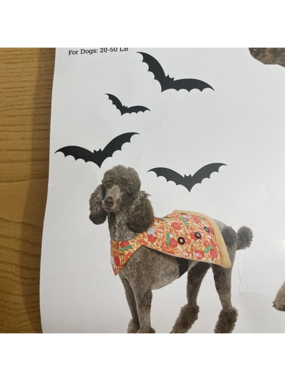 Dog Halloween Pizza Costume Sz Medium Slice w Pepperoni Olives Cheese Adjustable - Picture 7 of 10